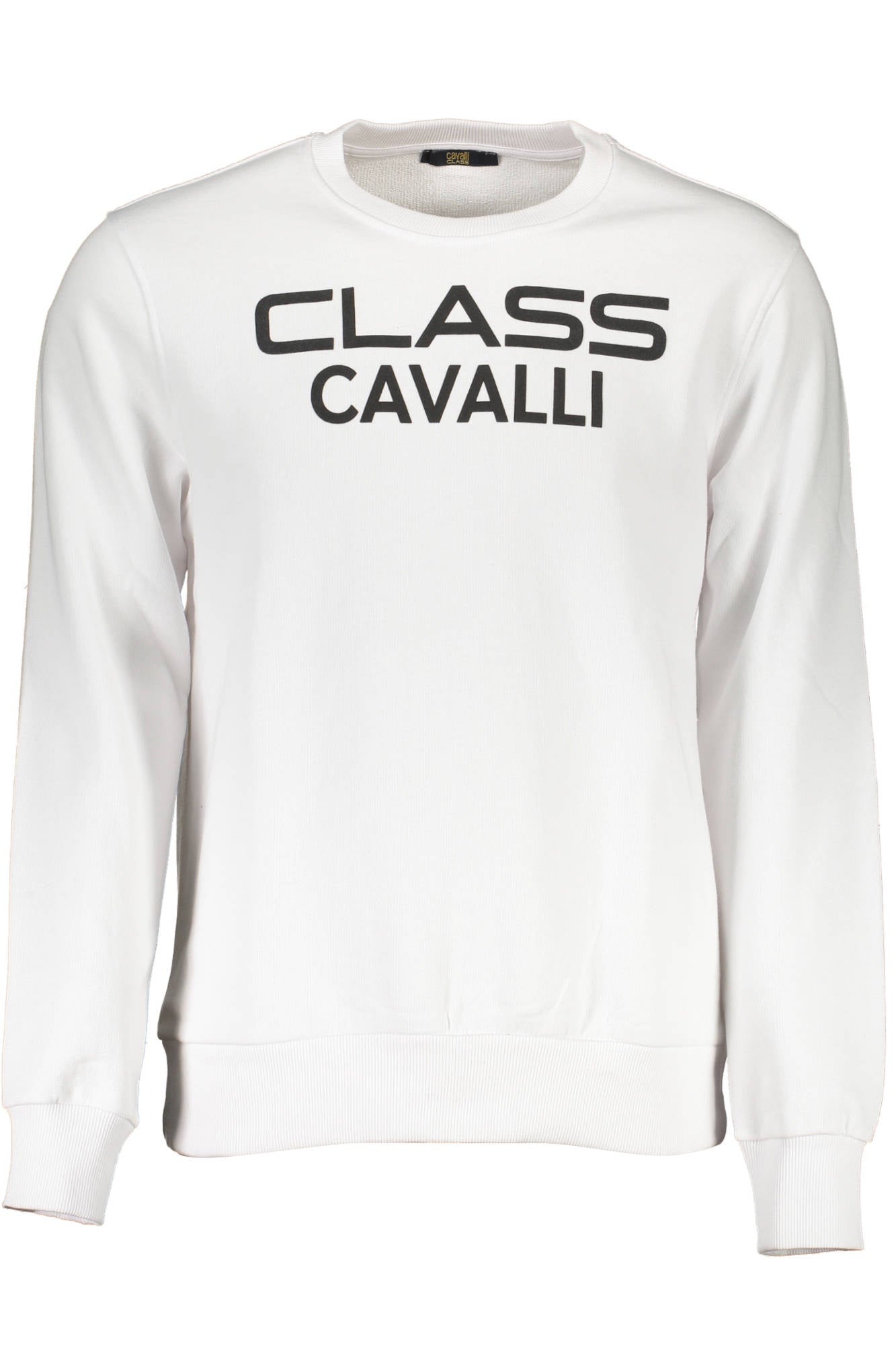 CAVALLI CLASS Vyriškas džemperis